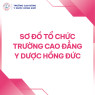 SƠ ĐỒ TỔ CHỨC TRƯỜNG CAO ĐẲNG Y DƯỢC HỒNG ĐỨC